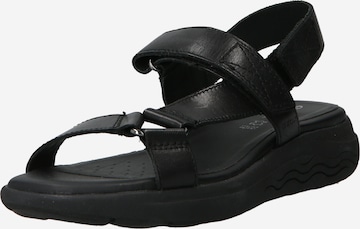 GEOX Sandal 'Spherica' i svart: framsida