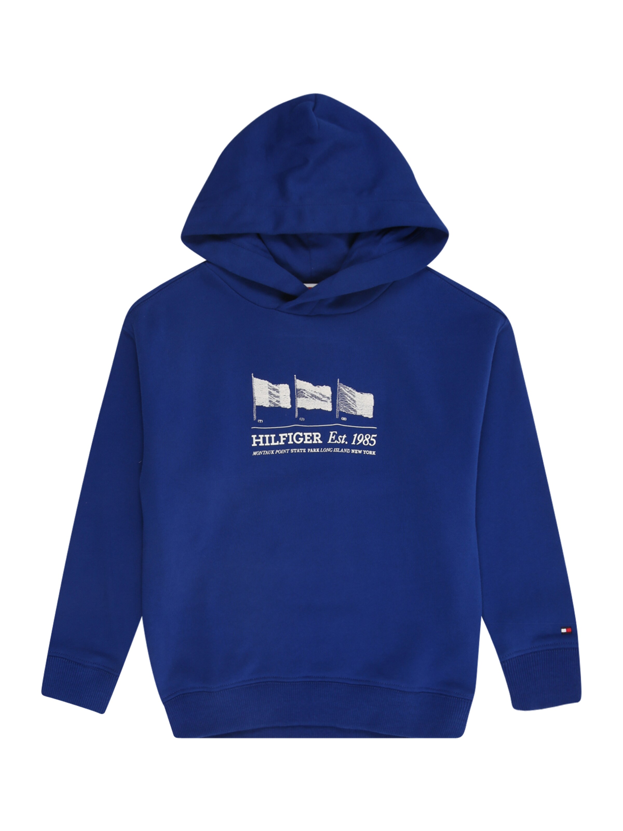 TOMMY HILFIGER Μπλούζα φούτερ σε μπλε: μπροστά