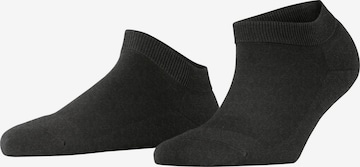 FALKE Füßlinge 'ClimaWool' in Grau: Vorderseite