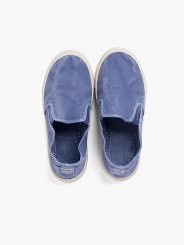 Pisamonas Sneaker‌‌‌‌‌‌‌‌‌‌ in Blau