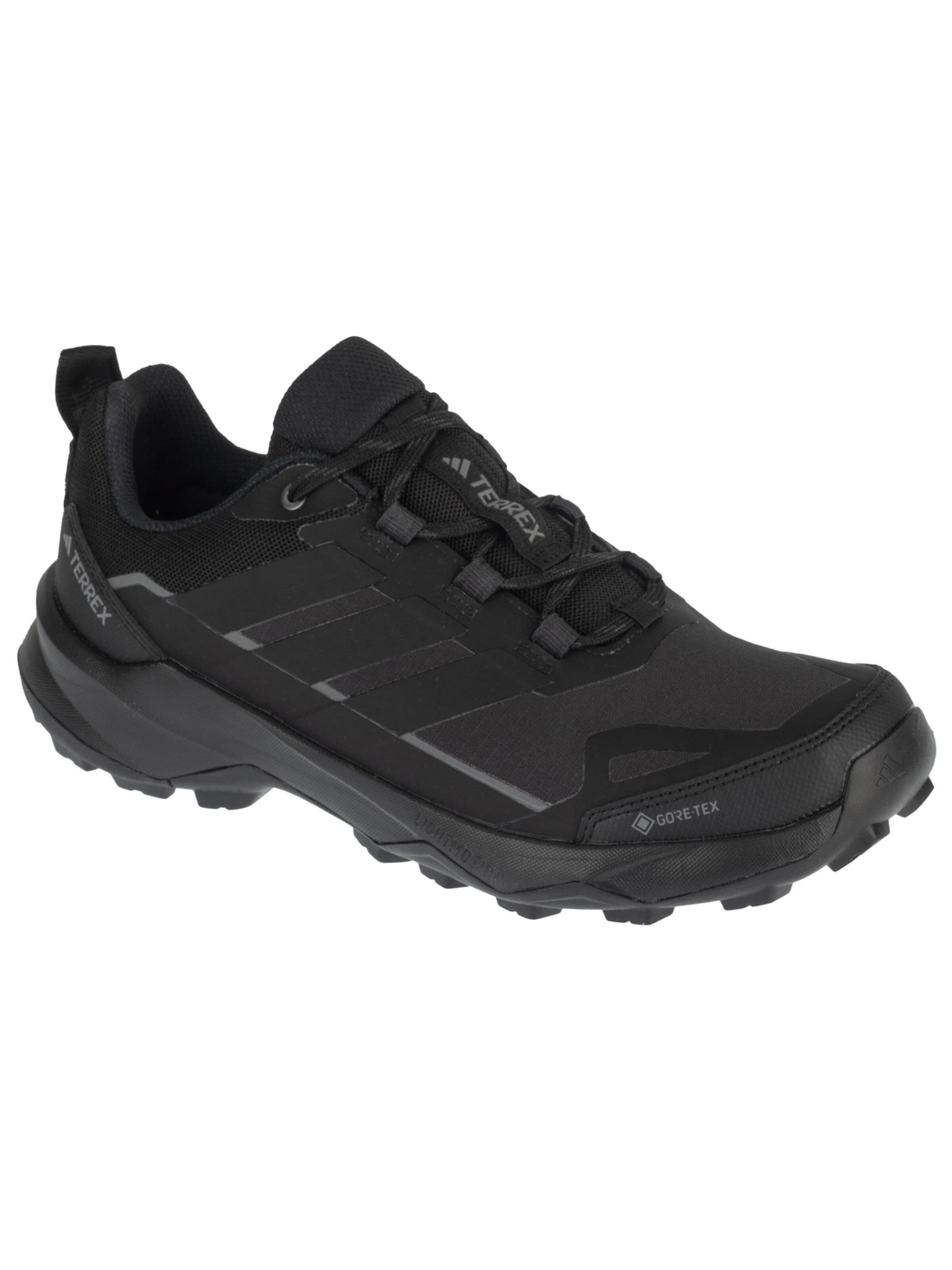 ADIDAS PERFORMANCE Low shoe 'Terrex Skychaser AX5 GTX' in Black: front