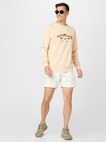 Shiwi Sweatshirt 'Go Fish' in Beige