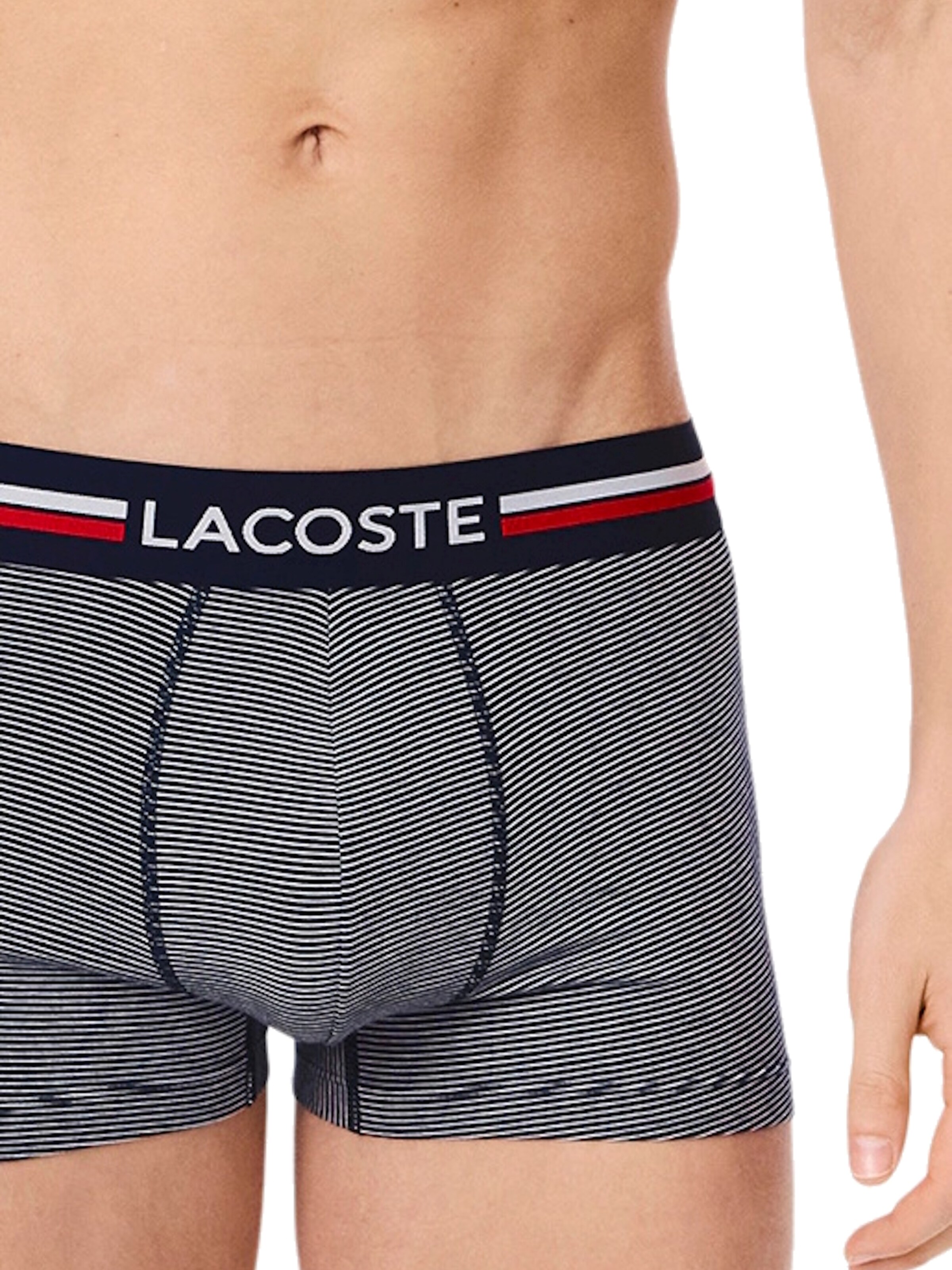 Boxer di LACOSTE in grigio