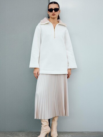 Touche Prive Skirt 'Pleated Skirt' in Beige