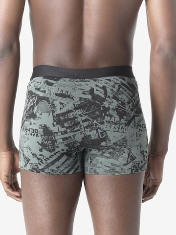 Boxeri de la KOROSHI pe mai multe culori