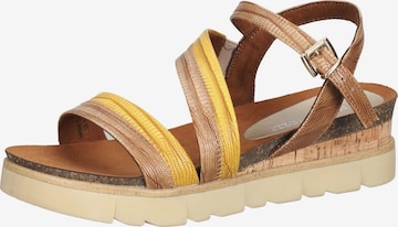 MARCO TOZZI Sandalen met riem in Bruin: voorkant