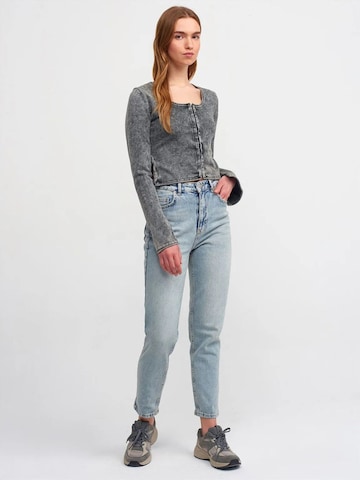 Dilvin Strickjacke 'Strickjacken'‌‌‌‌‌‌‌‌ in Grau