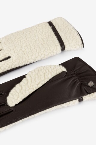 Roeckl Full Finger Gloves 'Talsen' in Brown