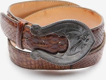 Reptile's House Belt in L in Brown: front