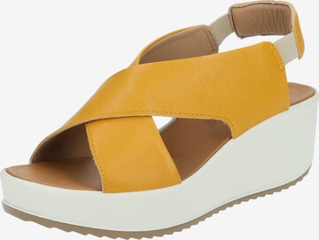 IGI&CO Sandals in Yellow: front