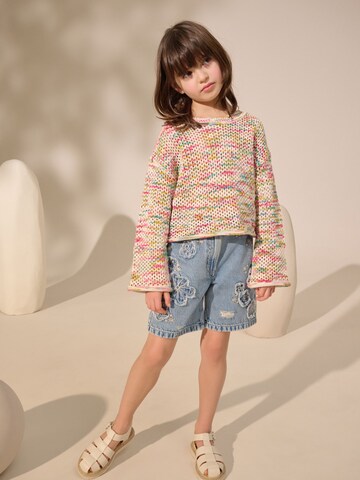 Next Pullover in Mischfarben