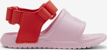 PUMA Sandals 'Divecat v2 Injex' in Pink