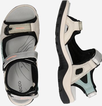 ECCO Hiking Sandals 'Offroad' in Beige