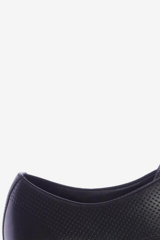 CLARKS Flats & Loafers in 43 in Black
