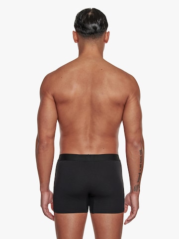 Adam Boxer shorts '6er Pack' in Blue