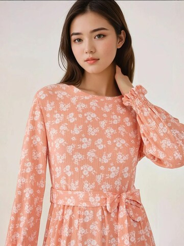 Hiccup Kleid in Pink