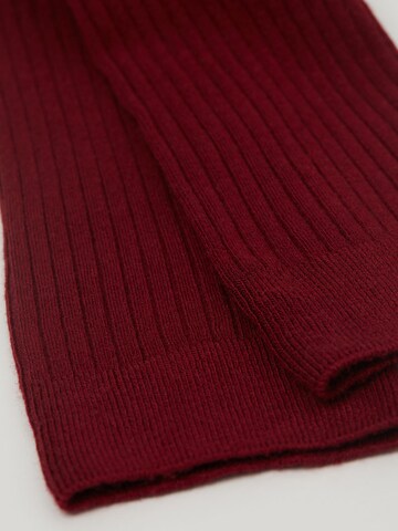 CALZEDONIA Socks in Red