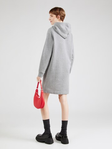 GANT Kleid in Grau