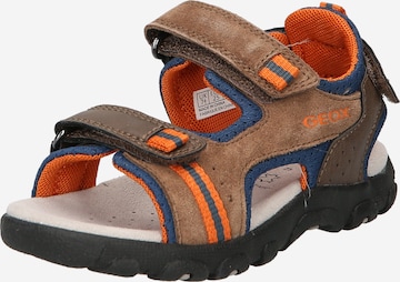 GEOX Sandals & Slippers in Brown: front