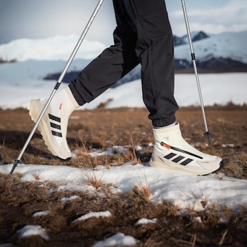 ADIDAS PERFORMANCE Boots 'Free Hiker 2' in Grijs