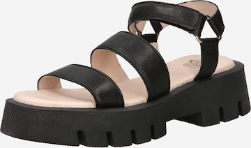 Apple of Eden - Sandalias 'Ravi' en negro: frente