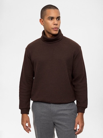 Antioch Pullover in Braun