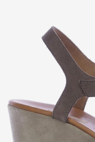Paul Green Sandals & High-Heeled Sandals in 38,5 in Brown