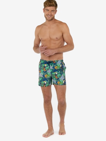 HOM Board Shorts 'Toucan ' in Mixed colors