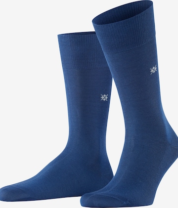 BURLINGTON Socks 'Dublin' in Blue: front