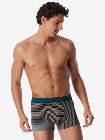 SCHIESSER Boxer shorts ' 955 Multi ' in Mixed colours