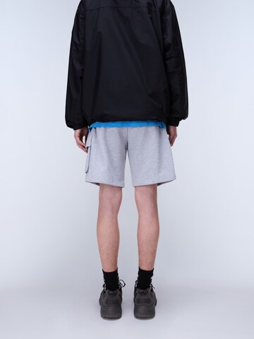 NAPAPIJRI regular Παντελόνι 'N-BOX LOGO CARGO' σε γκρι