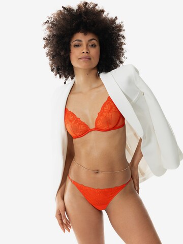 Mey Triangle Bra in Orange