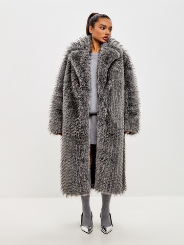 CESARE GASPARI Winter coat in Grey