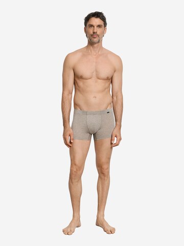 Hanro Retro Pants ' Casuals Daywear ' in Beige