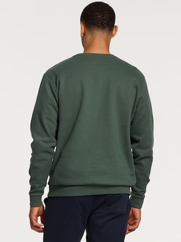 Shiwi Sweater in Green