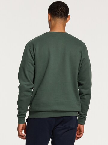 Pull-over Shiwi en vert