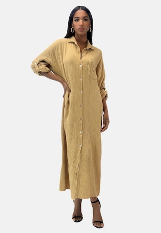 Abito camicia di Elara in marrone: frontale