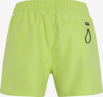 CHIEMSEE Regular Board Shorts in Green