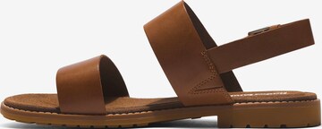 TIMBERLAND Sandals 'Chicago Riverside' in Brown