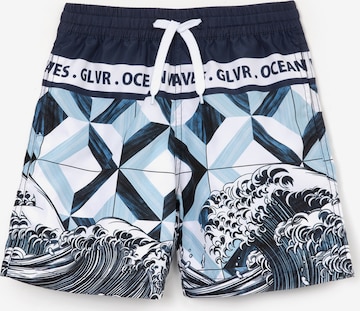 Gulliver Board Shorts in Mixed colors: front