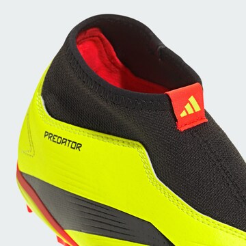 Chaussure de sport ' Predator 24 League ' ADIDAS PERFORMANCE en jaune