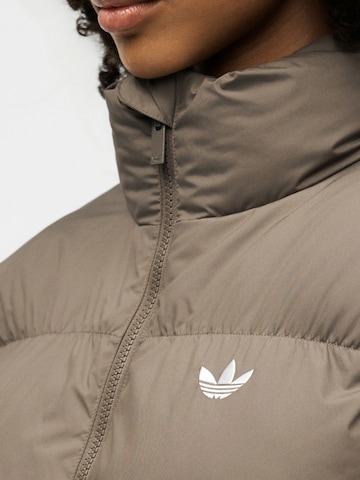 Veste d’hiver ADIDAS ORIGINALS en marron