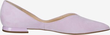 Högl Ballet Flats in Purple