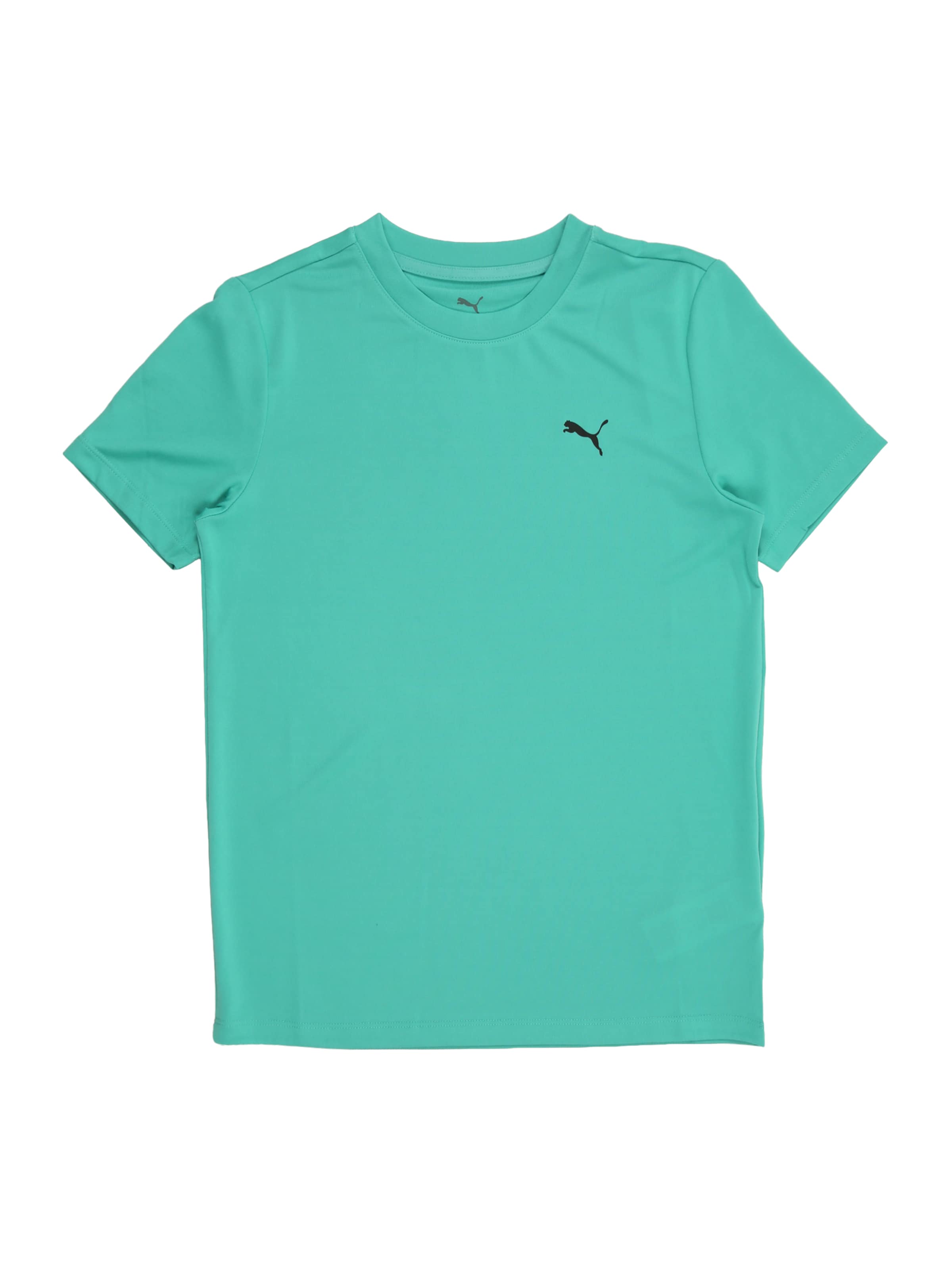 PUMA Funktsionaalne särk 'TAD ESS', värv roheline: eest vaates