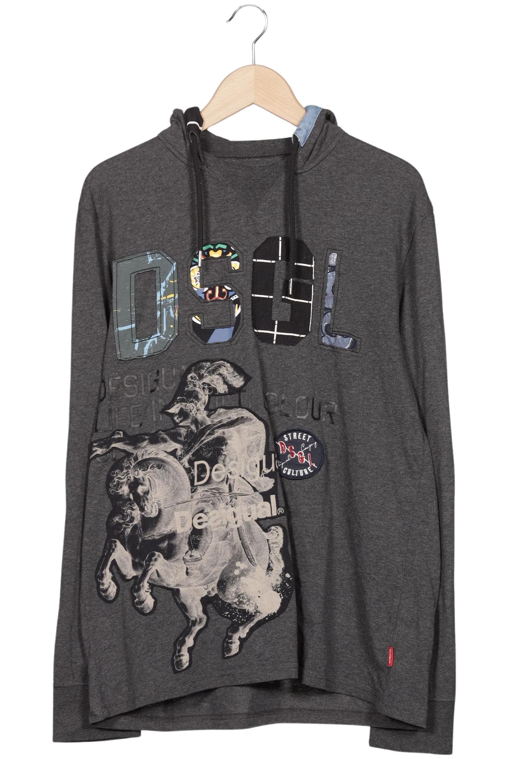 Desigual Kapuzenpullover L in Grau: Vorderseite