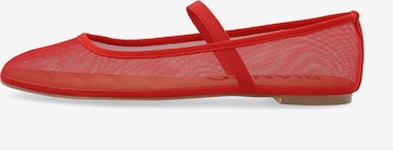 Bianco Ballerina 'Lilia' in Rot: Vorderseite