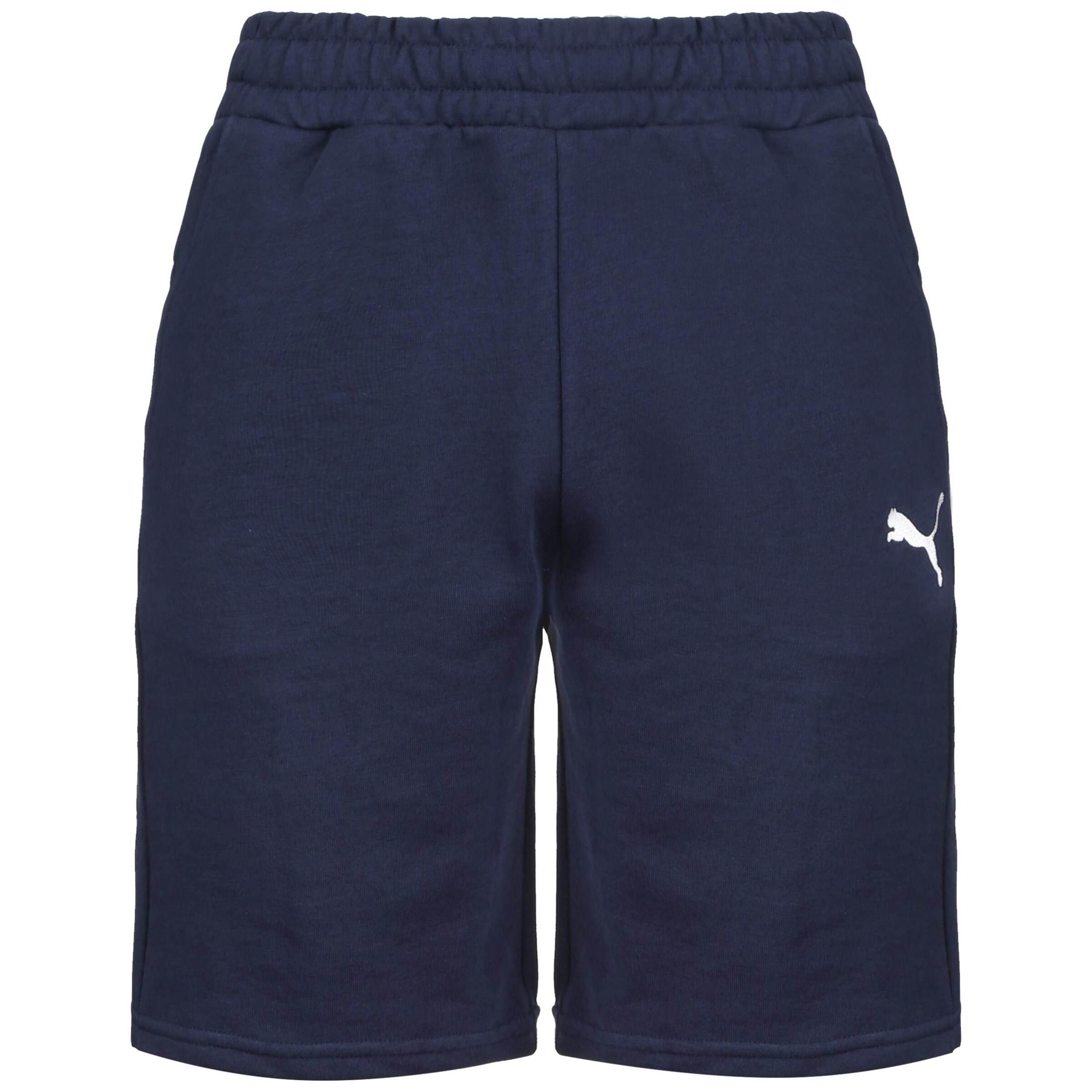 Loosefit Pantalon de sport 'Team Goal 23' PUMA en bleu : devant