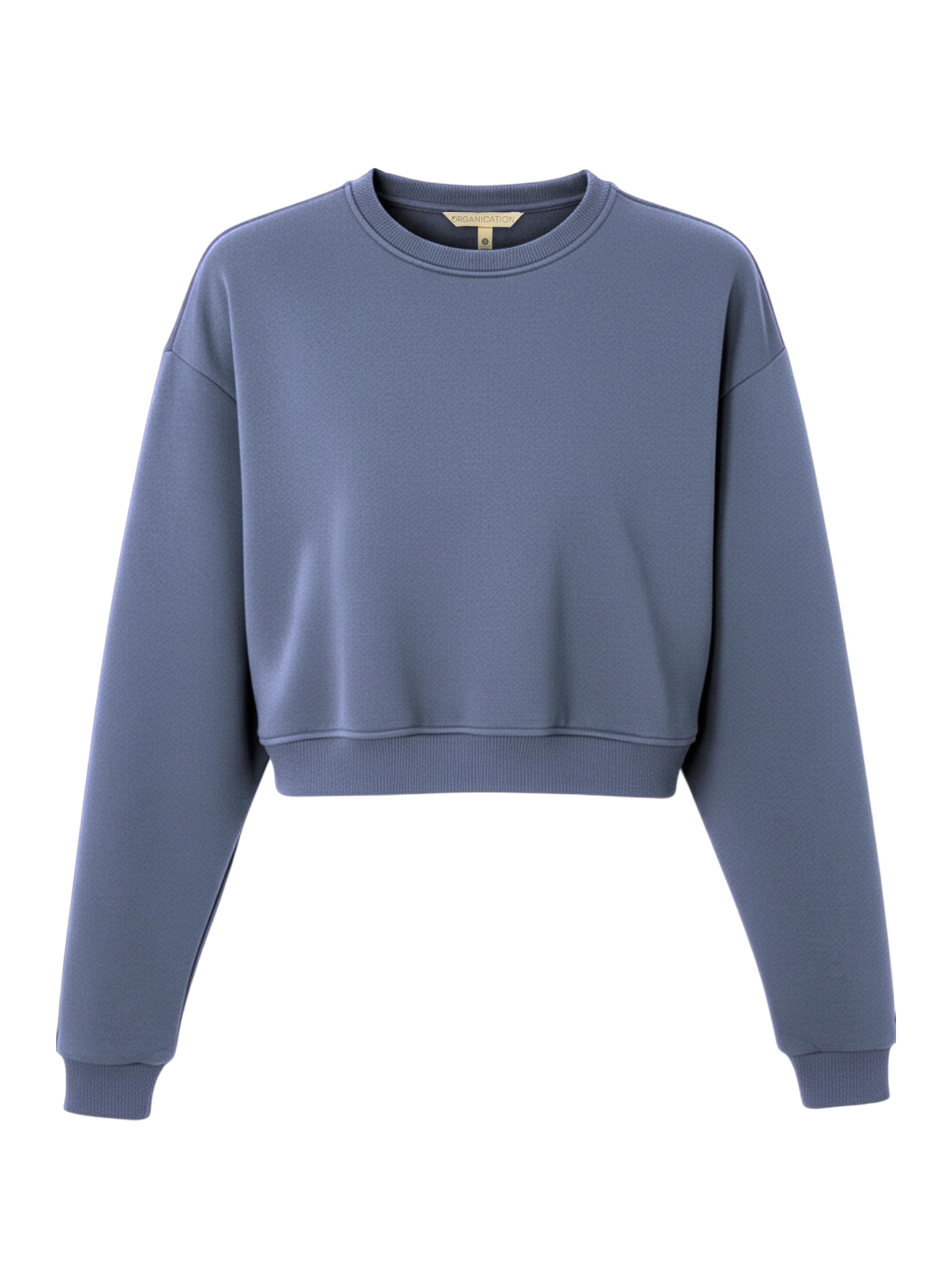 Organication Sweatshirt in Blue: front