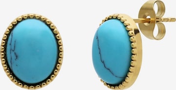 Boucles d'oreilles Lucardi en or : devant