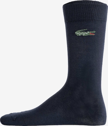 LACOSTE Ponožky – modrá: přední strana